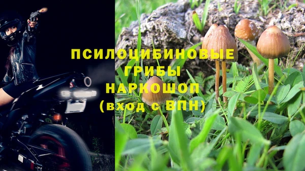 тгк Богородск