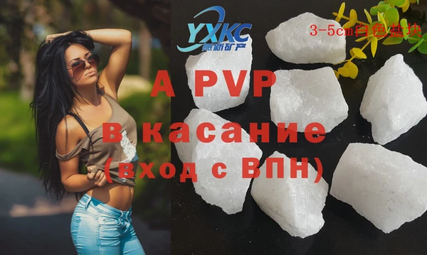 СК Богородицк