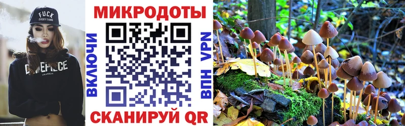 где купить наркотик  Таганрог  kraken рабочий сайт  Галлюциногенные грибы Magic Shrooms 
